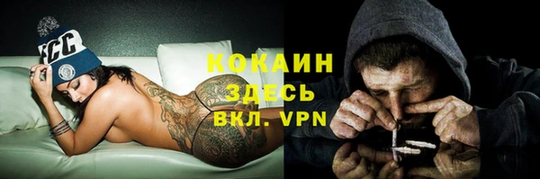 мяу мяу кристалл Алексин