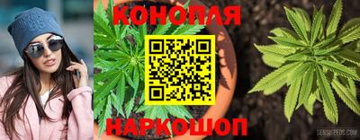 сатива Татарск