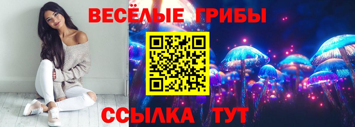 Псилоцибиновые грибы Magic Shrooms Новошахтинск