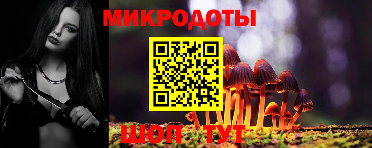 Галлюциногенные грибы Psilocybe  Вход с VPN  Новошахтинск  Галлюциногенные грибы мухоморы 